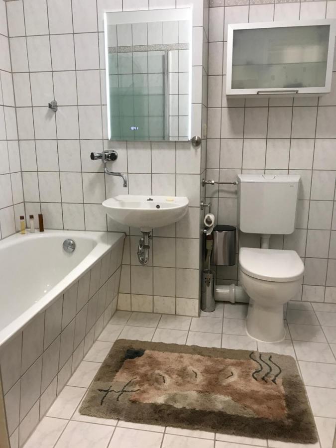 Zentrumsnahe Leipzig-Apartments, Nahe Ufz Und Bmw Inkl Parkplatz Und Fahrraeder Exteriér fotografie