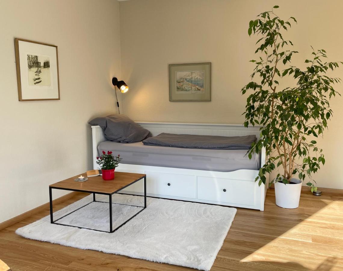 Zentrumsnahe Leipzig-Apartments, Nahe Ufz Und Bmw Inkl Parkplatz Und Fahrraeder Exteriér fotografie