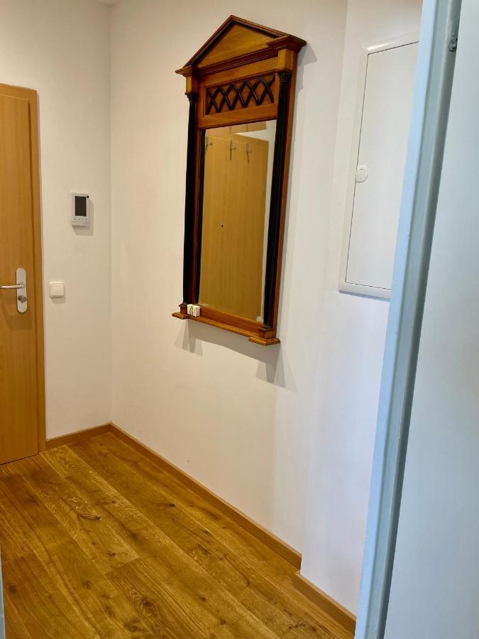 Zentrumsnahe Leipzig-Apartments, Nahe Ufz Und Bmw Inkl Parkplatz Und Fahrraeder Exteriér fotografie
